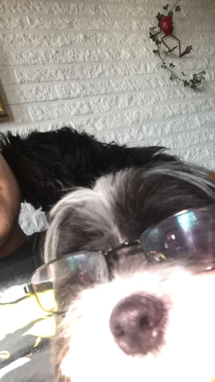 He is watching some 9gag with me...