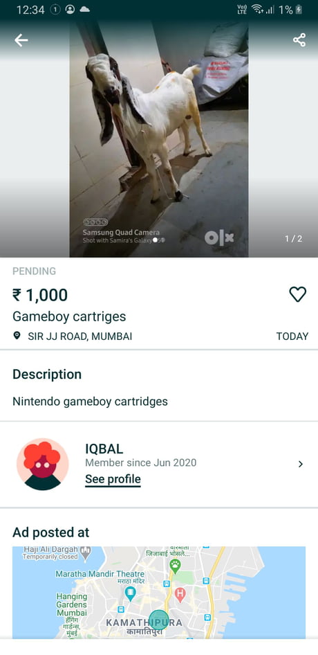 Didn't know gameboy had goat stimulator, Btw app is olx (indian version of  ebay - 9GAG