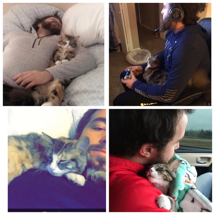 When we started dating he told me he&rsquo;d never love a cat.