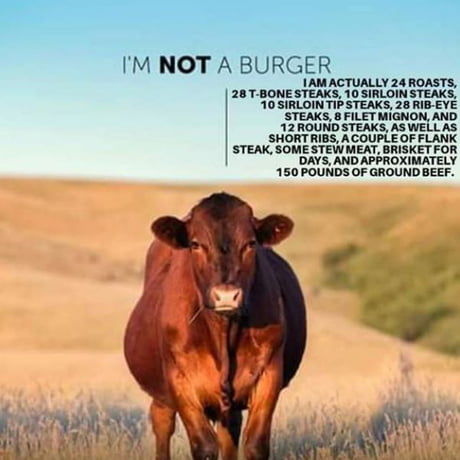 Bon App&eacute;tit