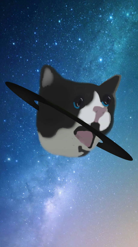 Online Fun Cat Meme Mobile Wallpaper Template Fotor Design Maker