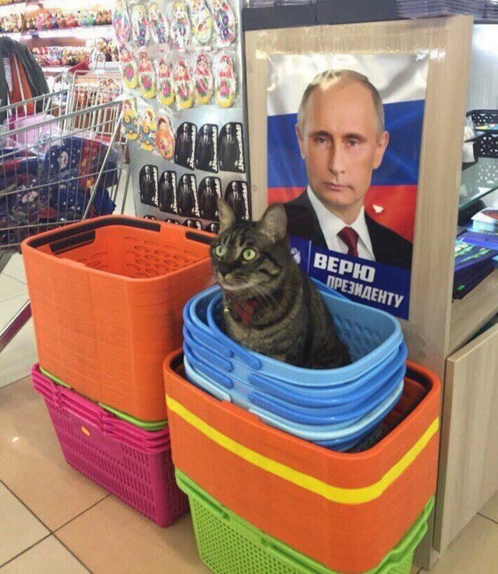 "I trust the president"