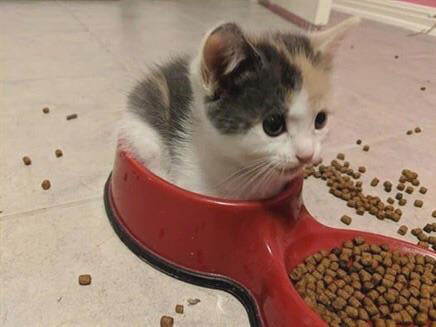 That&rsquo;s not how this works, little one