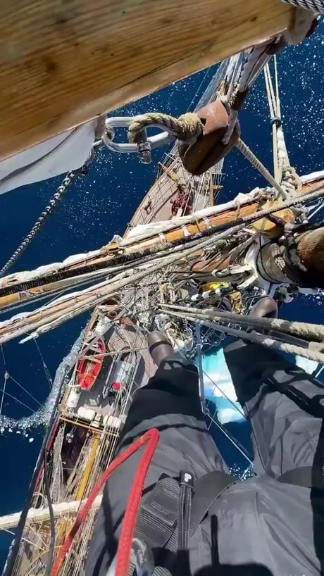 Summer in Antarctica