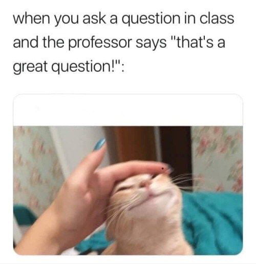 Yeah I'm smart