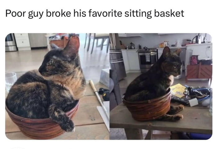 He's completely accepted defeat - 9GAG