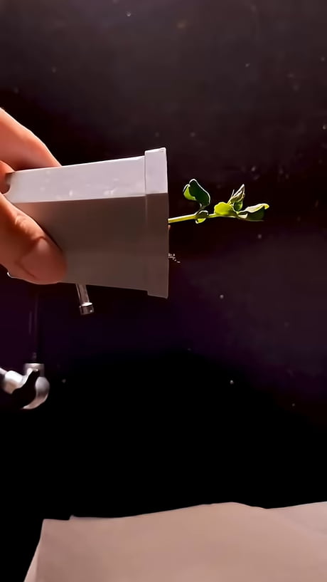 Dude is trolling plants
