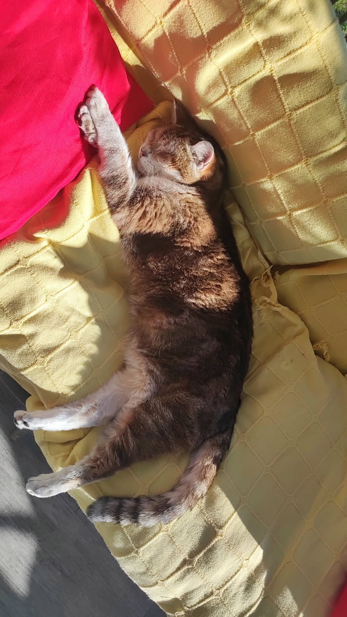 I know most of you won't care but my friend of 15 years is gone this morning and damn it hurts