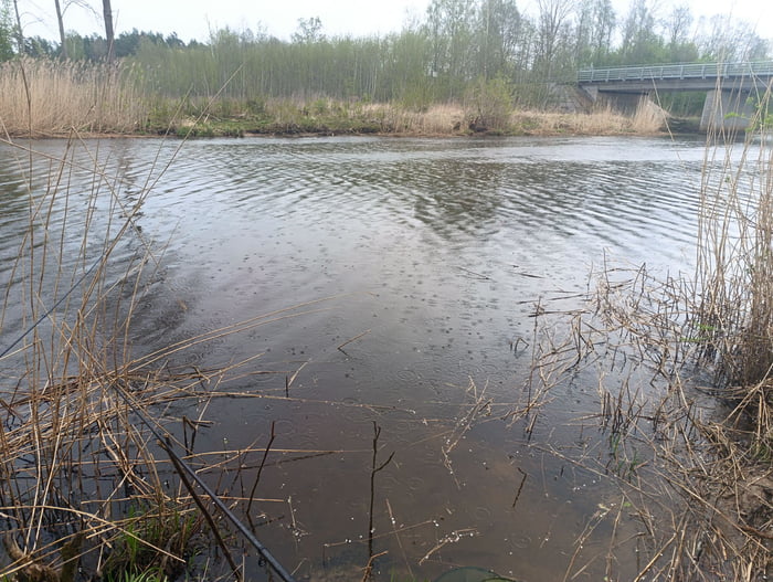Fishin
