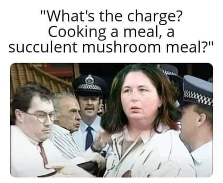 Best Funny succulent Memes - 9GAG