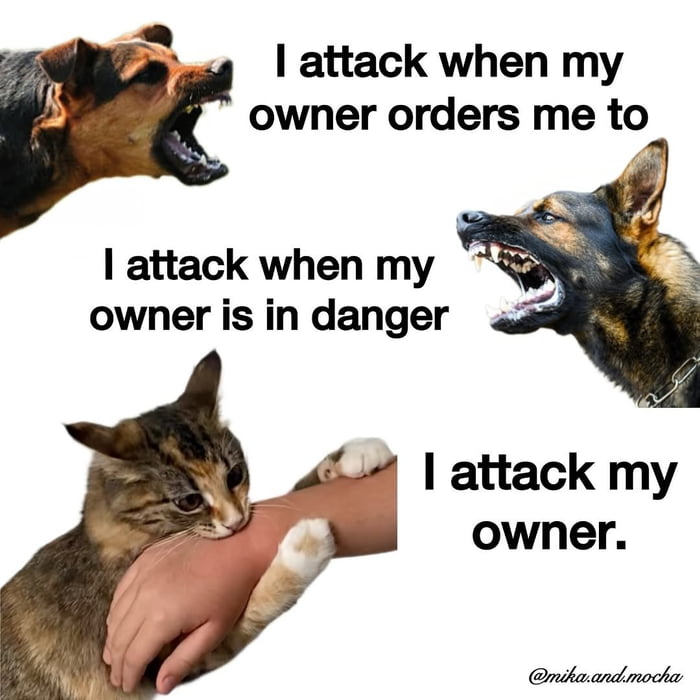 More treats! - 9GAG