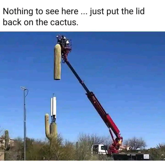 fields can cause tissue heating, where the skin absorbs