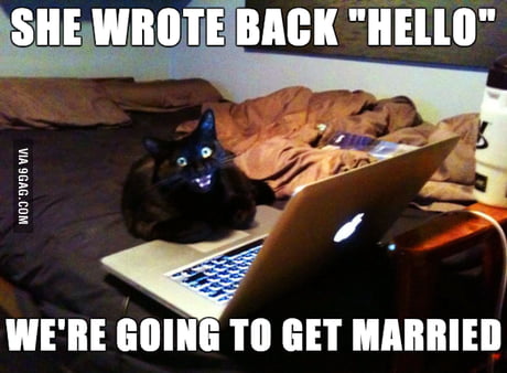 Cat Online Dating
