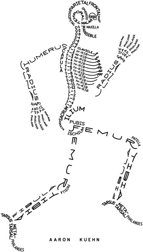 The easy way to remember human skeletal system