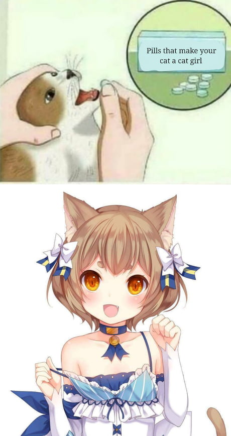 Catgirl  Wikipedia