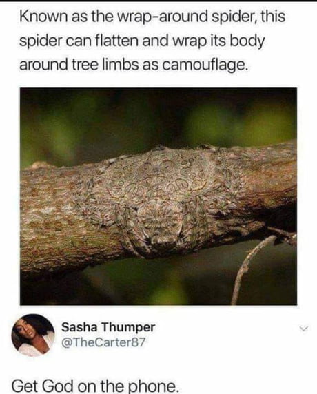 God? We need to talk.