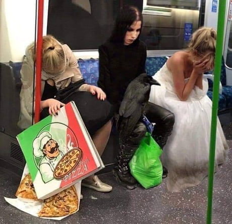 Fall of the Roman empire (476 CE)