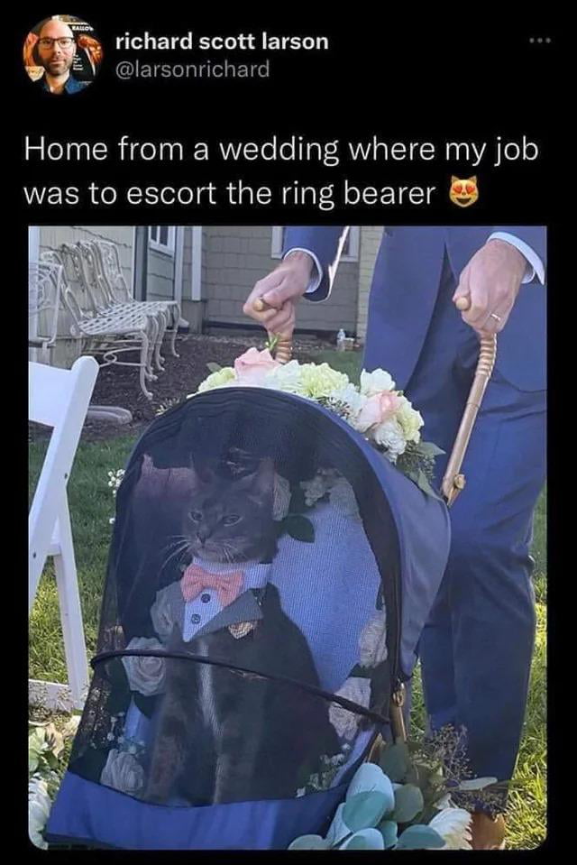 Ring bearer job 9GAG