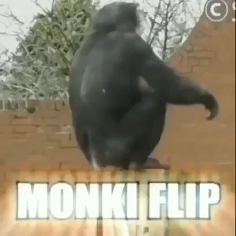 Best Funny funny monkey Memes - 9GAG