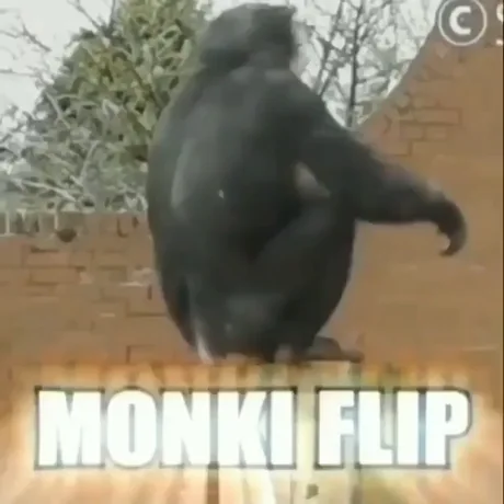 The best Monke memes :) Memedroid