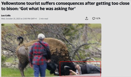 Fuck Around And Find Out Buffalo, Fuck Around And Find Out Bison