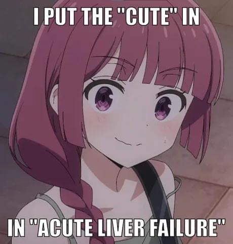310 Anime meme ý tưởng | hài hước, ảnh vui, anime