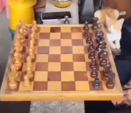 Explaining this chess meme ( stalemate meme ) 