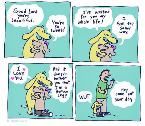 (Old+Gold) Love...exciting and new, come aboard... Sing along if you know the rest!