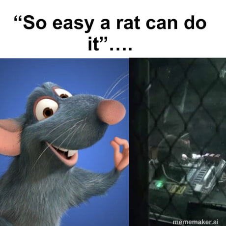 Best Funny ratatouille Memes - 9GAG