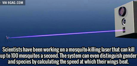 mosquito laser