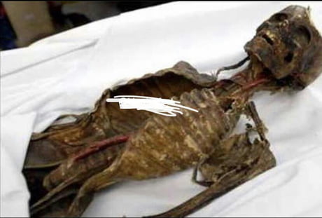 He was thought to be the oldest man in Tokyo but when officials went to congratulate Sogen Kato on his 111th birthday, they uncovered mummified skeletal remains lying in his bed. -