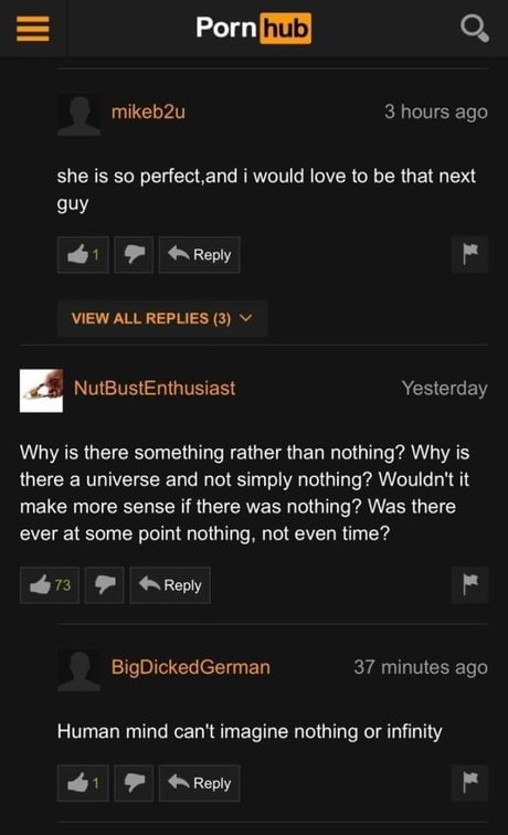 Pornhub Funny Ads - These 23 Pornhub Comments Were Unexpectedly Wonderful - 9GAG