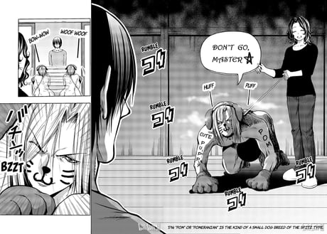 Grand blue dreaming memes