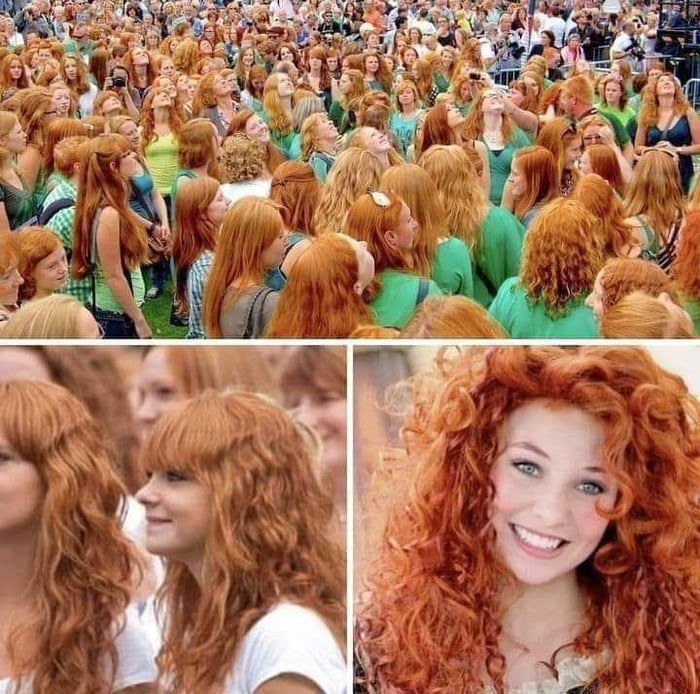 Genetics? Red hairs Festival in Dublin, Ireland.
