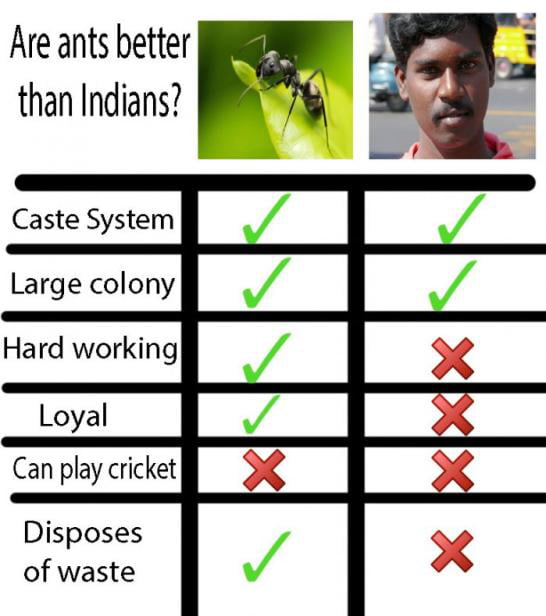 Indians vs Ants