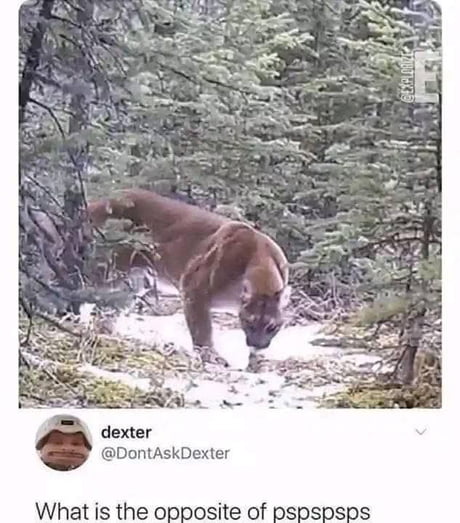 Help me