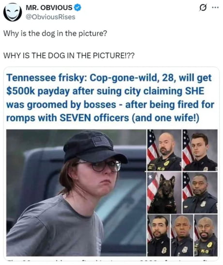 What the dog doin