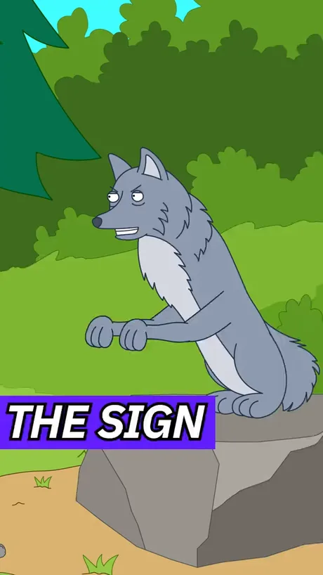 9gag Wolf Memes The Czechoslovakian Vlcak