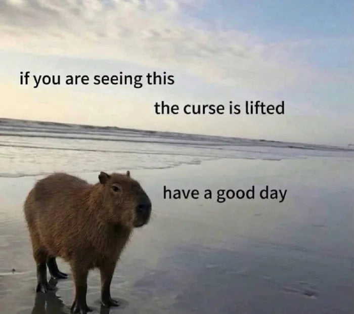 Just testing something. Don't mind this post