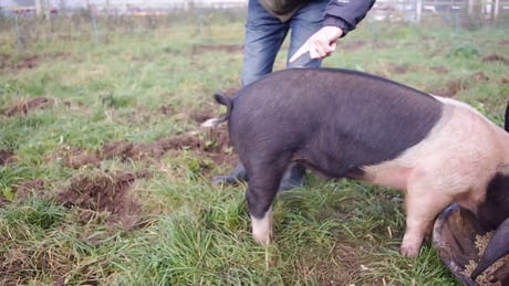 Things you should know...