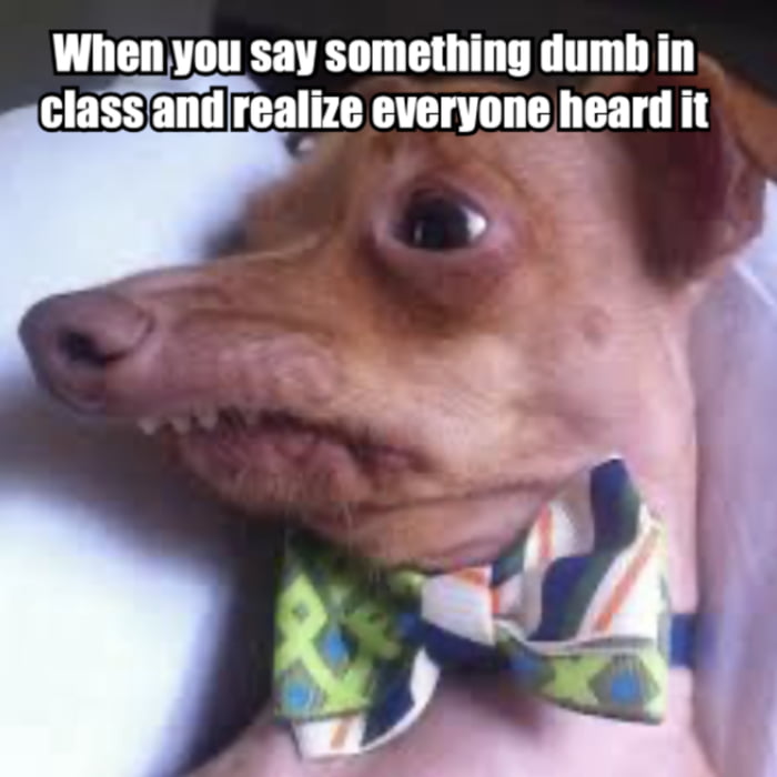 Classic Phteven moment...