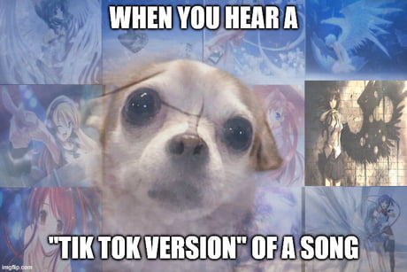 Best Funny nightcore Memes - 9GAG