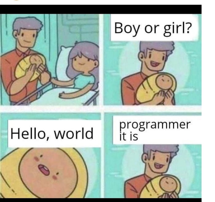 classic-meme-how-a-programmer-is-born-9gag