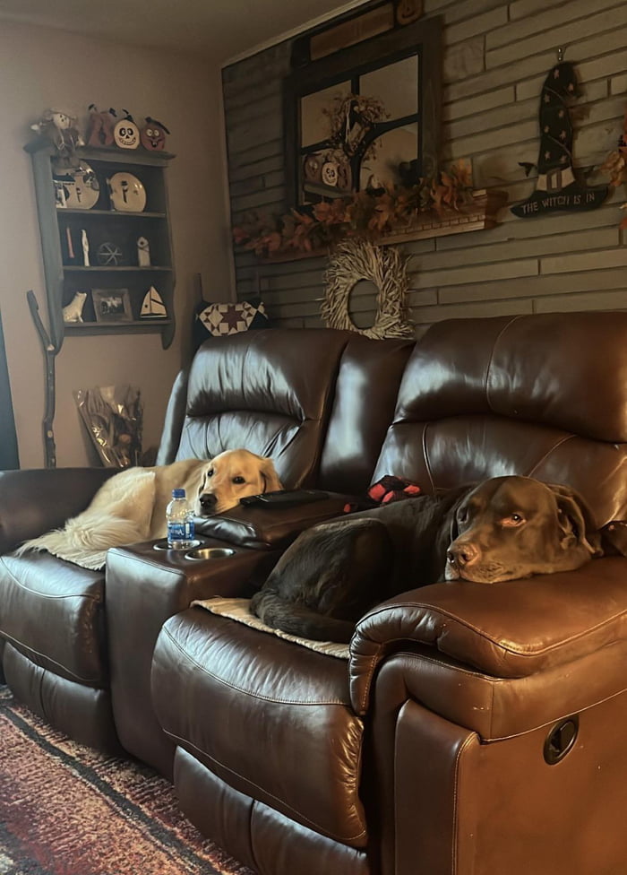 I’ll just sit on the floor it’s fine 9GAG