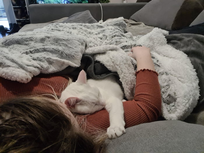 She likes to cuddle under the blankets 9GAG