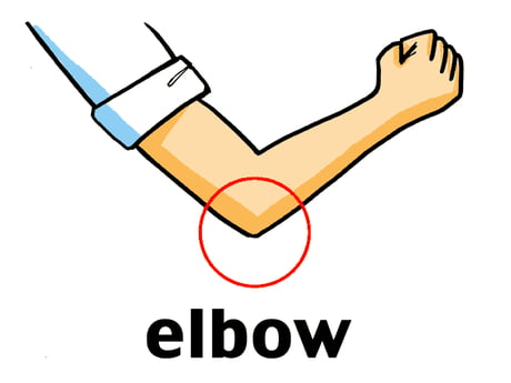 clipart elbow