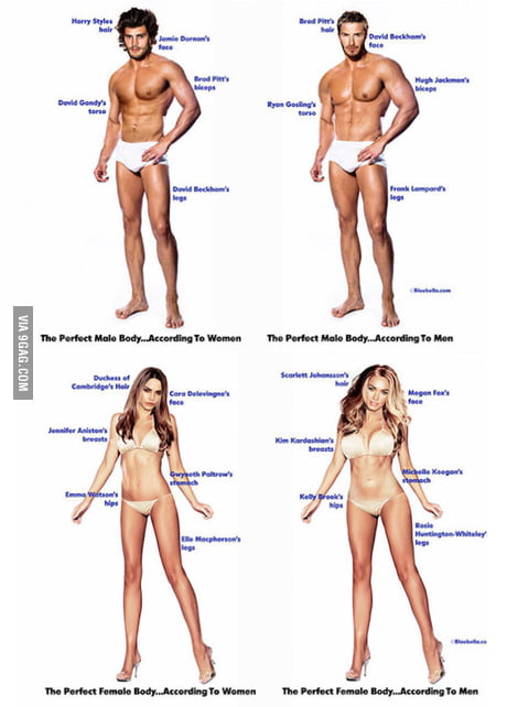 Mens idea of the perfect female body