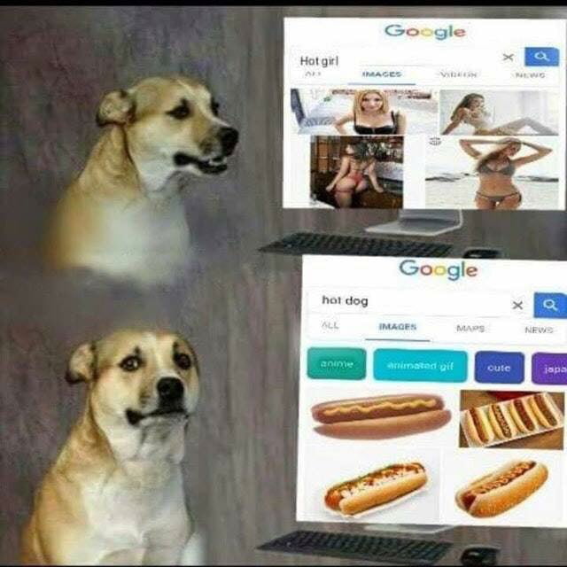 Poor doggo