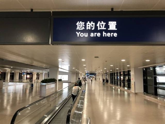 You are here