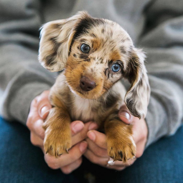 Piercing blue eyes